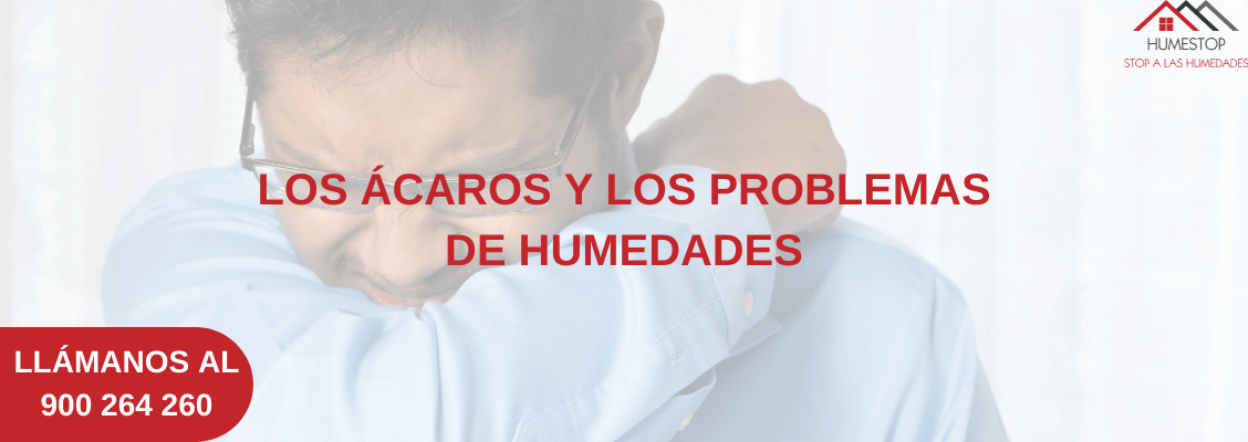 LOS ÁCAROS Y LOS PROBLEMAS DE HUMEDAD