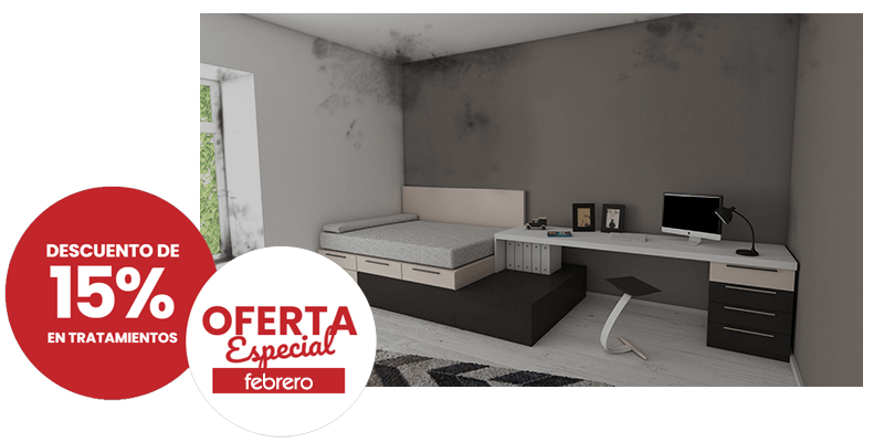 Oferta Eliminación Humedades