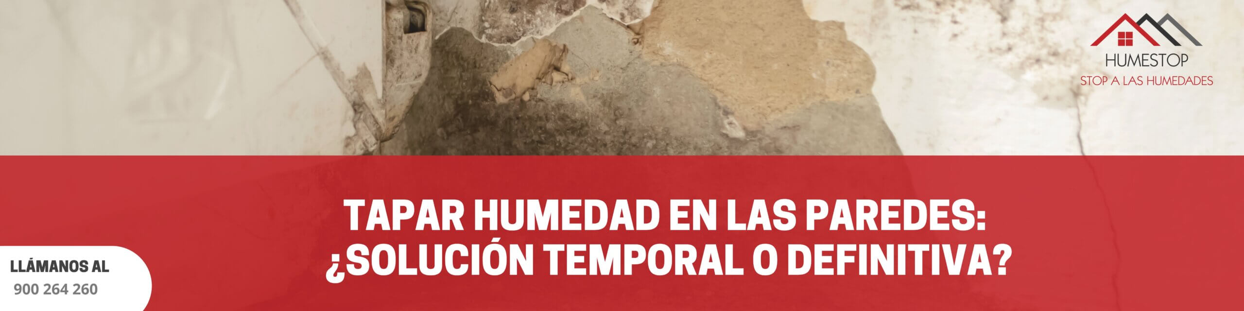 Tapar humedad en las paredes: ¿Solución temporal o definitiva?