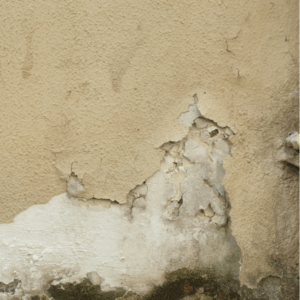 Empresa de Humedades en Madrid – Humestop